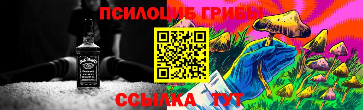 как найти закладки  Вход с VPN  Омск  Псилоцибиновые грибы GOLDEN TEACHER  Псилоцибиновые грибы мухоморы 